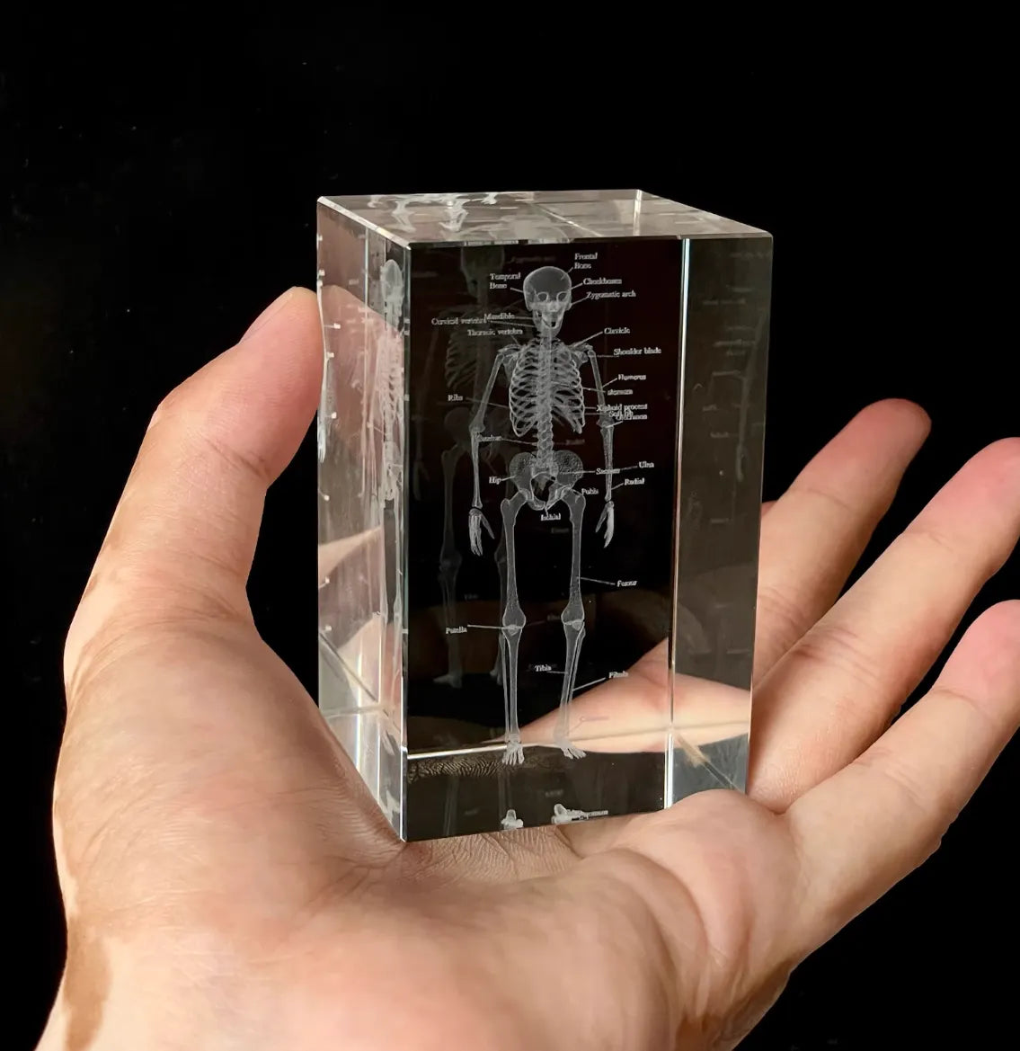 Hand holding a crystal block with an anatomical skeleton design on a black background