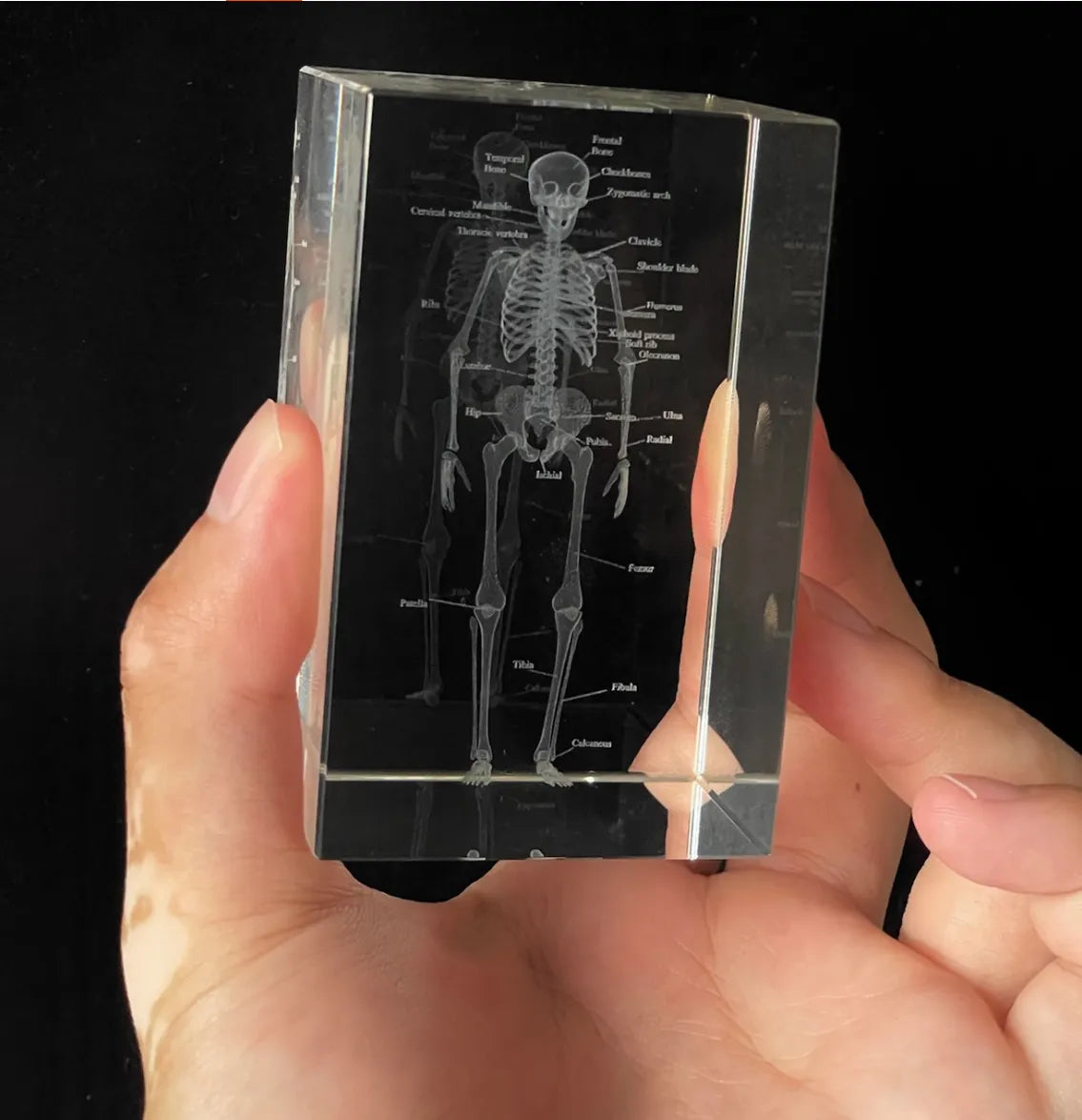 Hand holding a transparent block with an engraved skeleton diagram against a black background
